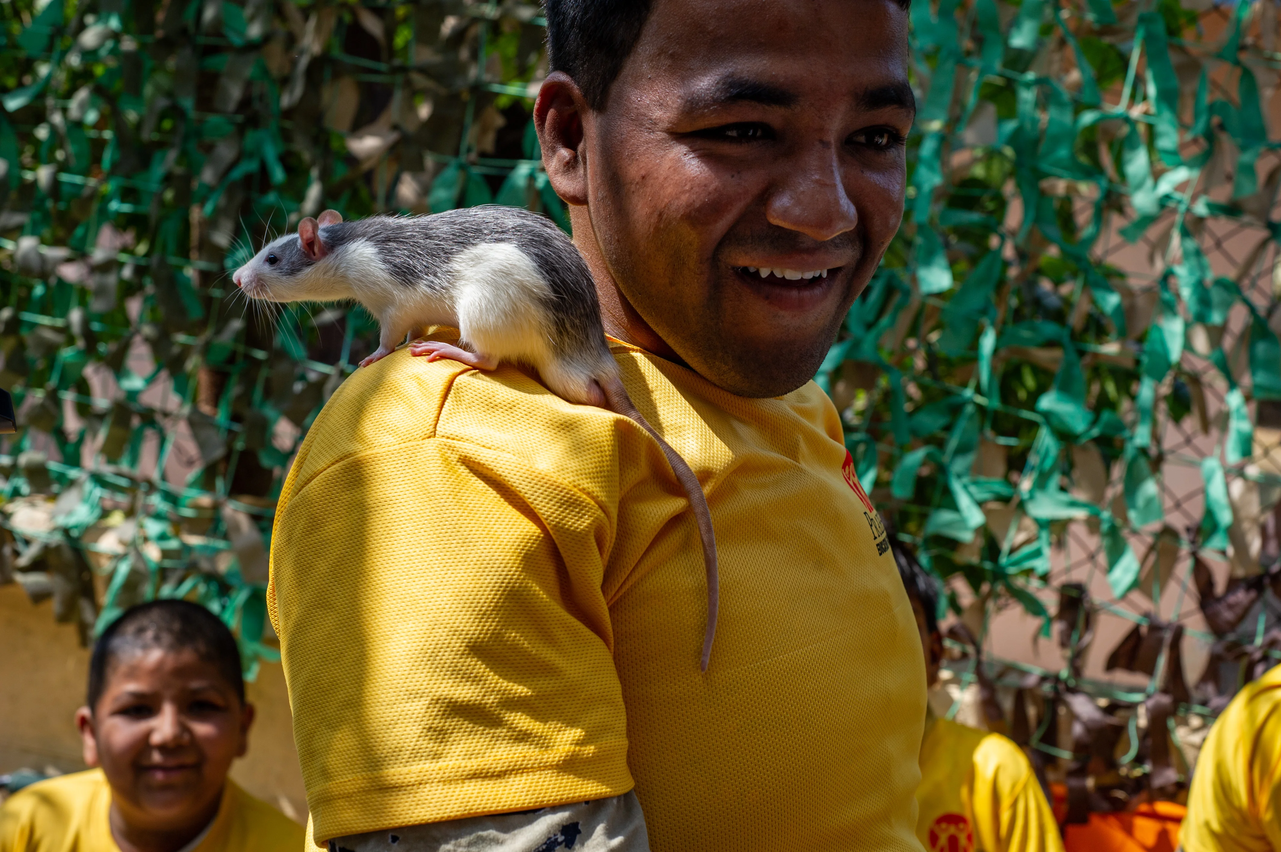 Qi Animal Sanctuary